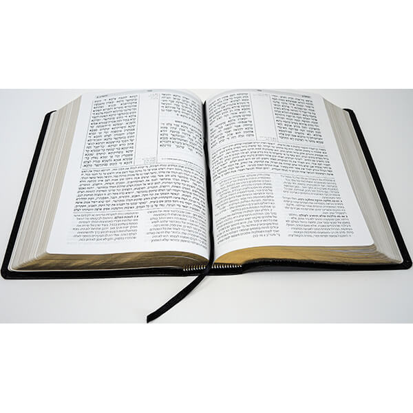 Fire Bible Hebrew