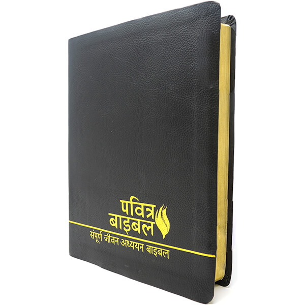 Full Life Study Bible Hindi