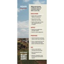 AGWM Mobilizing Rack Card Pkg 25