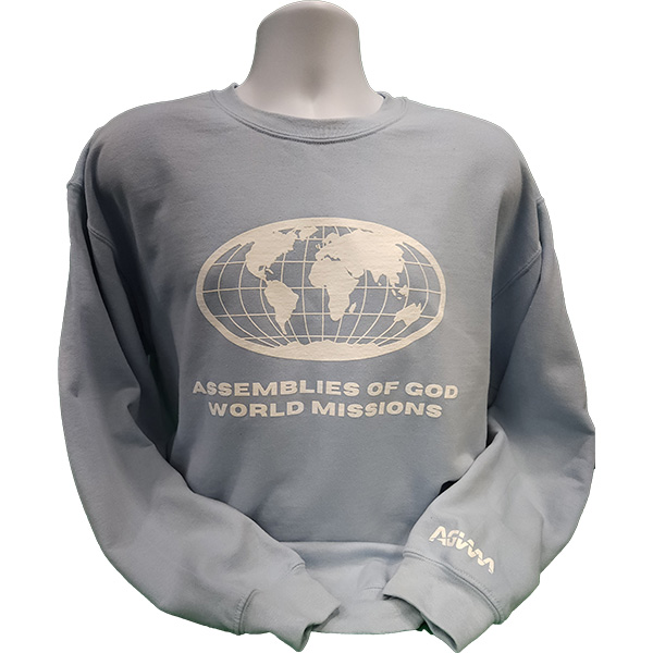 Globe Sweatshirt Light Blue S