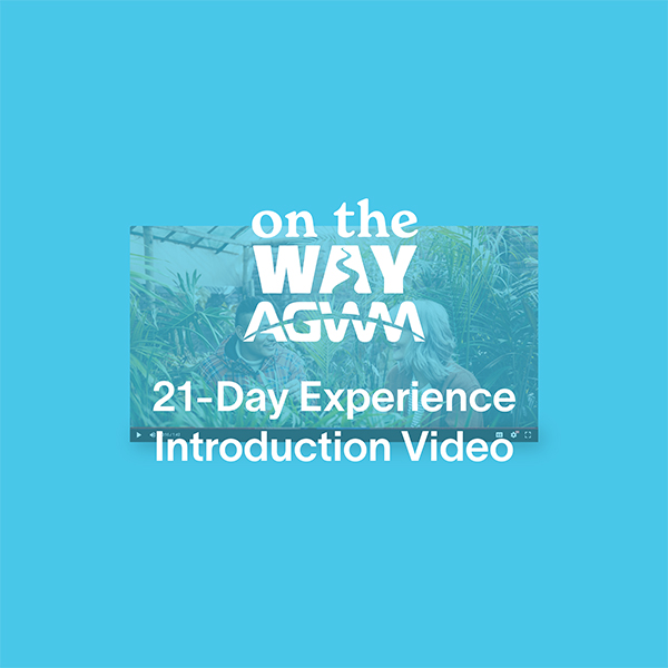 On the Way Download Introduction Video