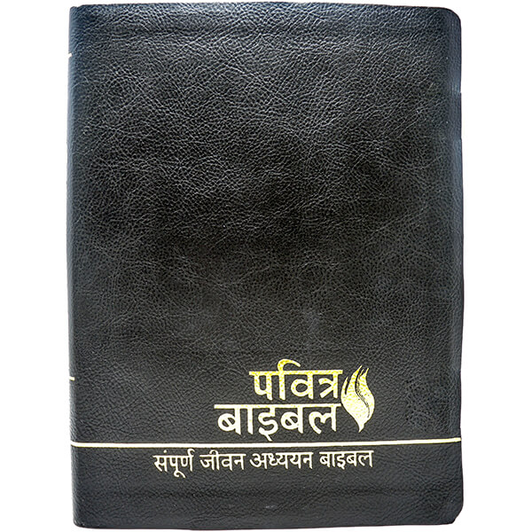 Full Life Study Bible Hindi