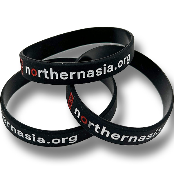 Northern Asia Wristbands Pkg 100