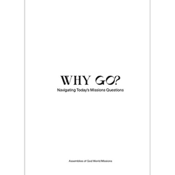 [718122] Why Go