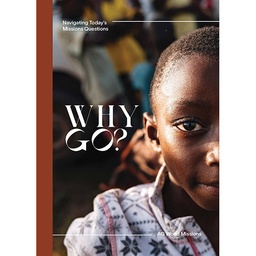 [718122] Why Go