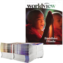 Worldview 12 issues / 1 year Bundle Subscription